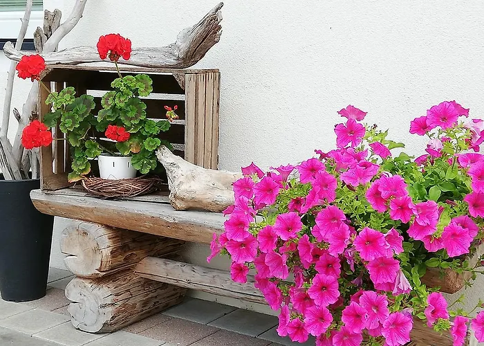 Manuel Майрхофен